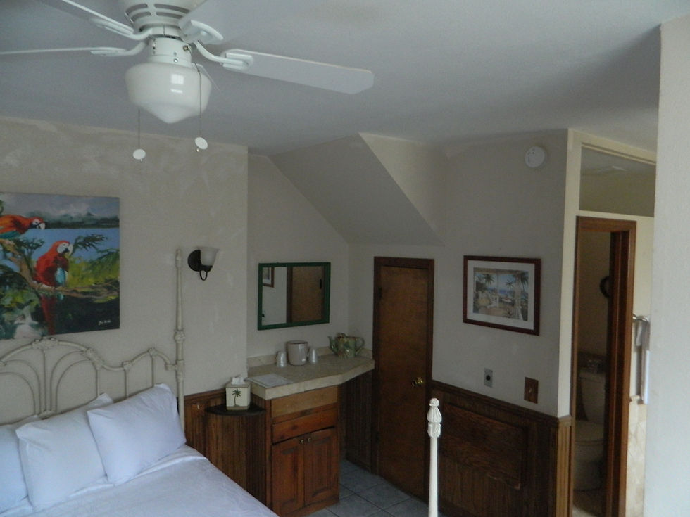 Palm Room 1