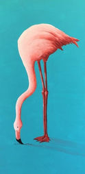 Flamingo.jpg