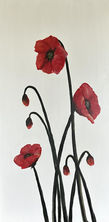 Poppies.jpg
