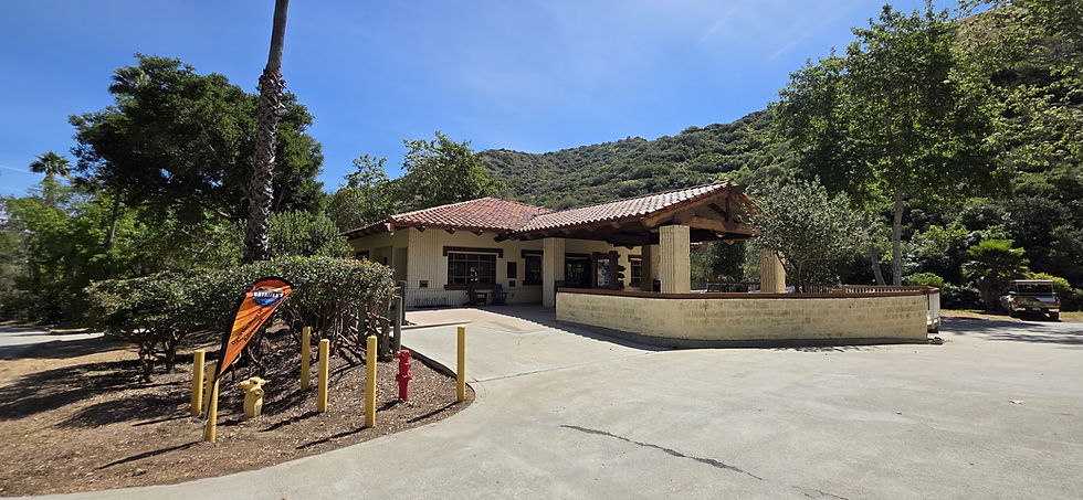 How to Get Around Avalon. Catalina's Adventure HQ