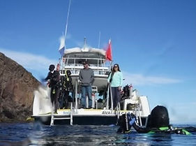 Catalina Boat Dives