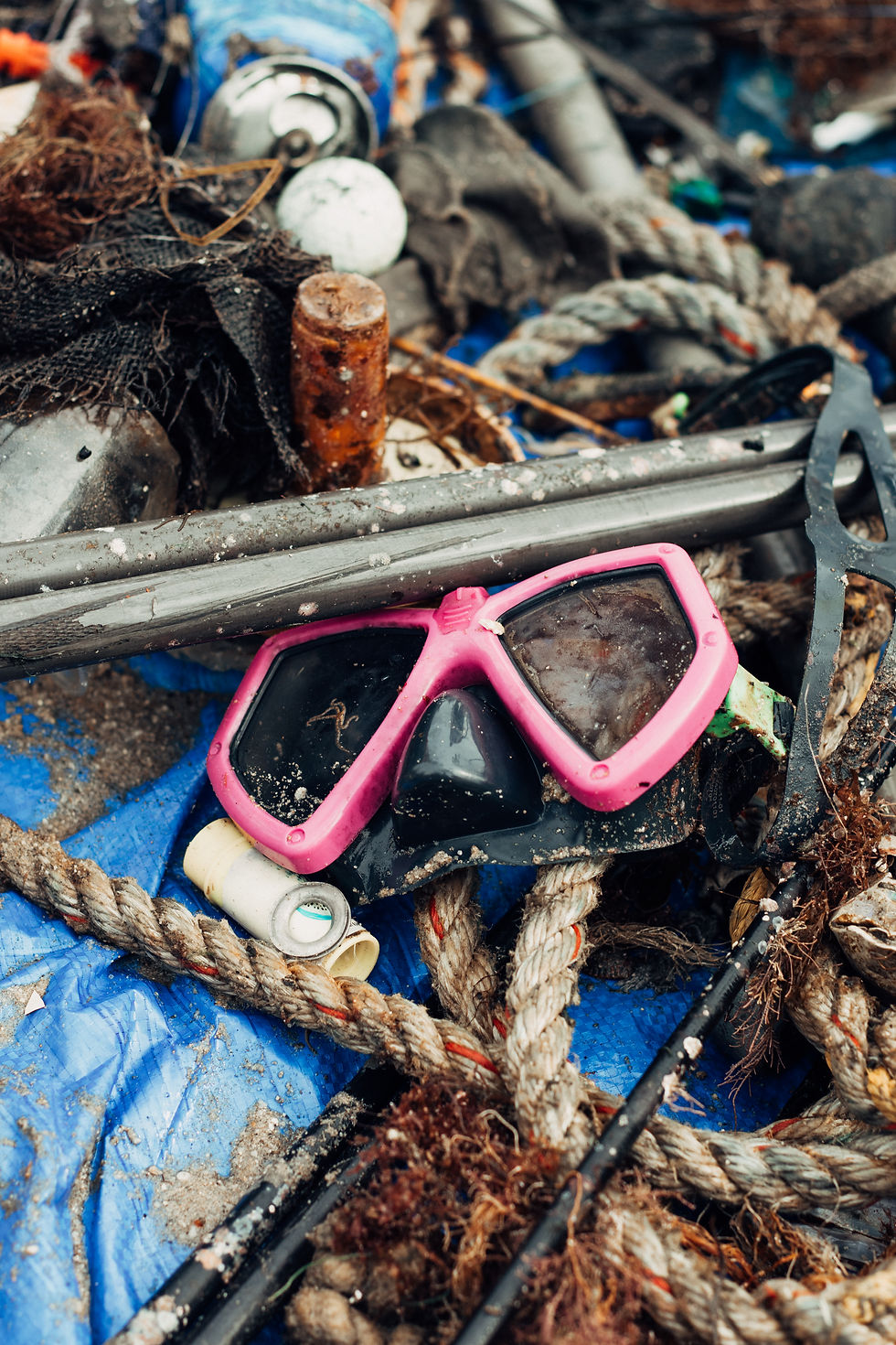 marine debris collected during the Avalon Harbor Cleanup