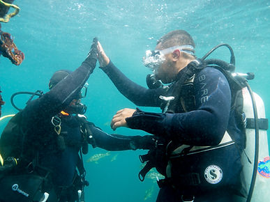 Rent dive gear on Catalina Island