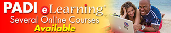 Specialty dive classes on Catalina Island