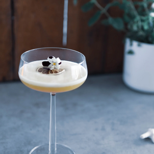 tropical gimber sour