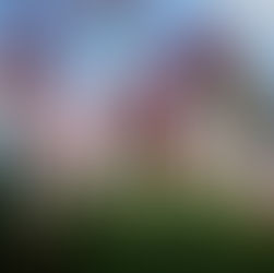 I Wasn't Ready to Eat The Crust