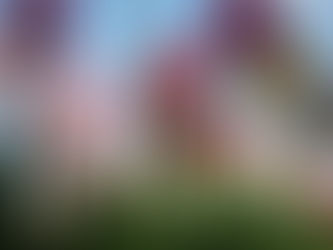 I Wasn't Ready to Eat The Crust