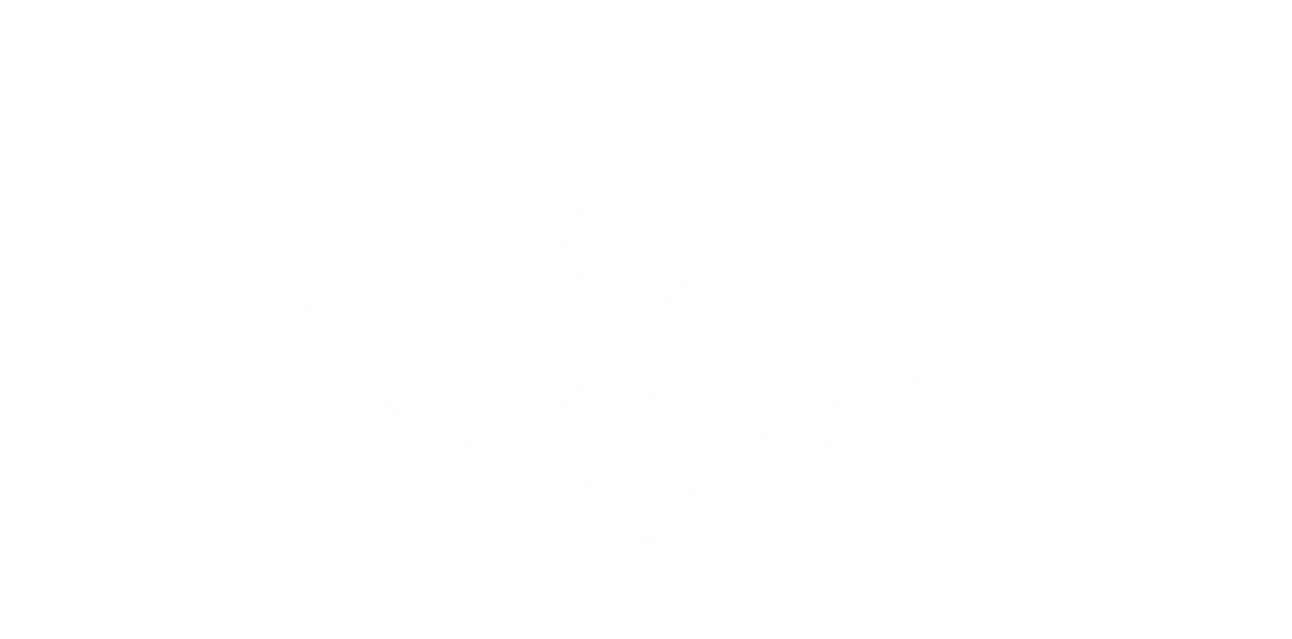 Nocturnal LLC GAMING Owl Logo