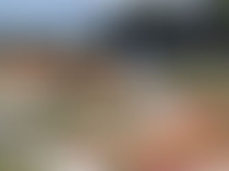 まもなく供用開始。