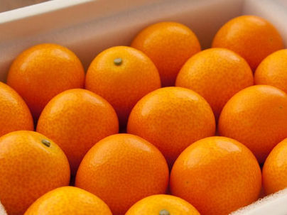 3年ぶりの勝田マラソン