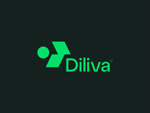 Diliva - Logo and Visual identity Design