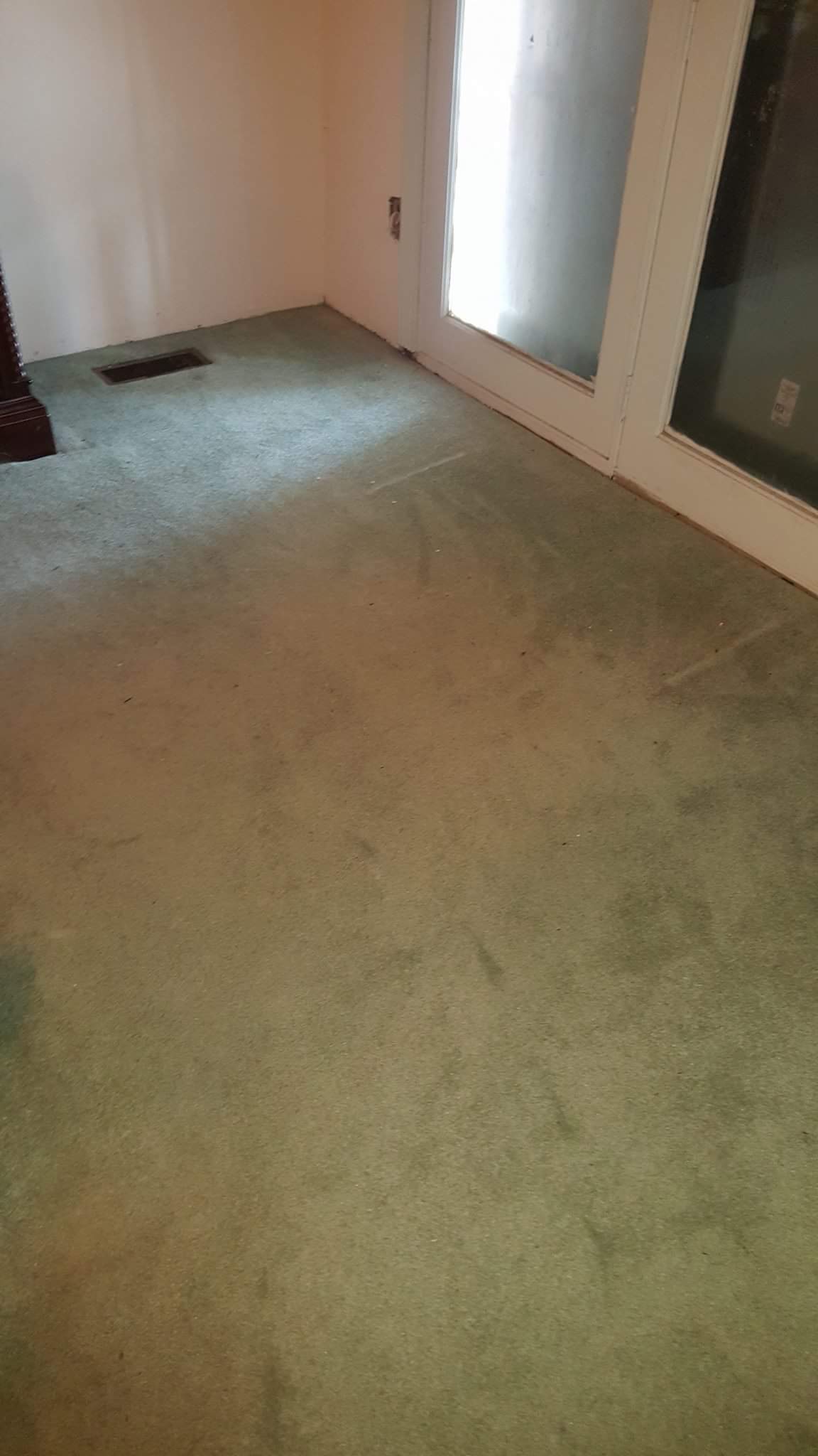 Just Right Carpet Cleaning in Summervile, SC