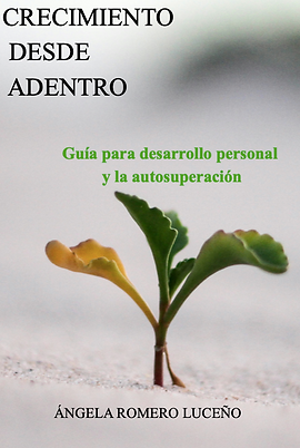 `PRTADA-eBook-CRECIMIENTO DESDE ADENTRO.png