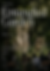 New York Experimental Arts Festival 2026 | Entangled Garden