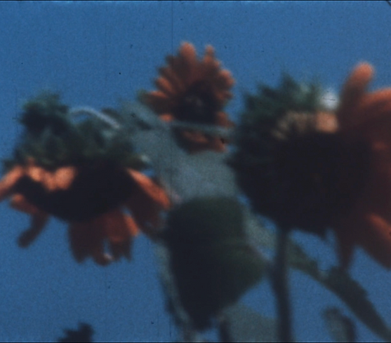 Untitled1