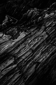 Photo by Adrien Olichon from Pexels.jpg