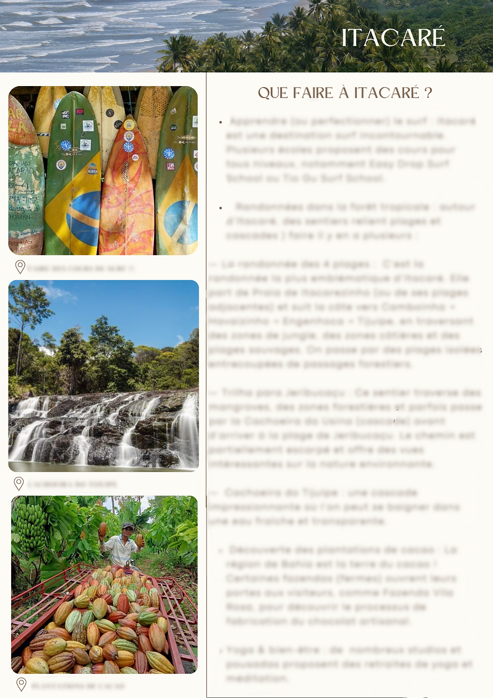 Miniature : GUIDE : BRÉSIL