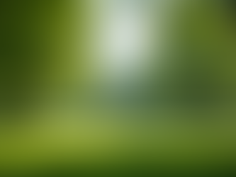 Creating Stunning Landscapes in Every Community