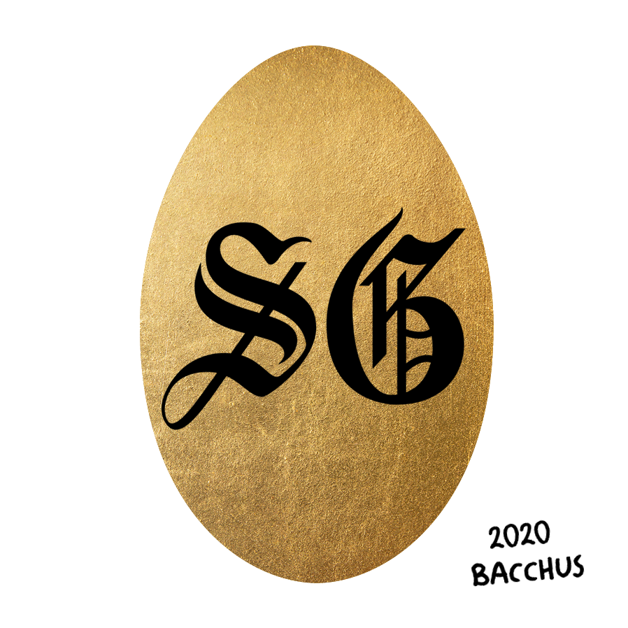 Saddle Goose 2020