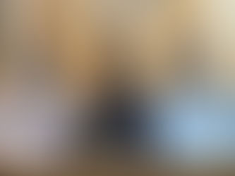 F251PBG312 MULTI WAPPEN TOTE 再入荷&新色が追加されました。