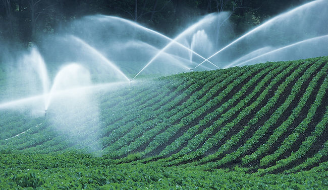 Irrigating Fields