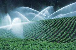 Irrigating Fields