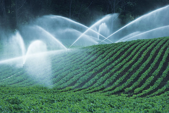 Irrigation pond aeration & water treatment