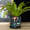 Thumbnail: Dark forest plant pot and dish