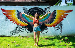 Colorfull wings mural painting