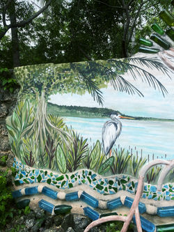 Mangrove forest