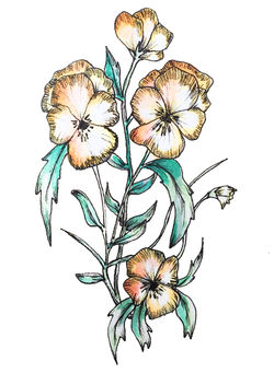 pensées watercolors