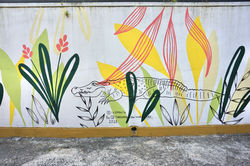 crocodile