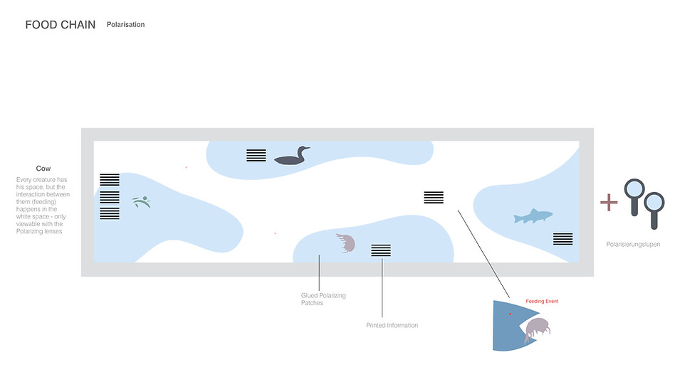 180413_ICELAND_WATER_FoodChain_Concepts_