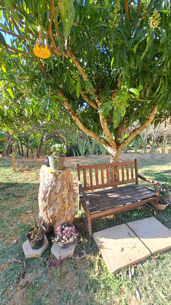 WhatsApp Image 2025-02-14 at 13.26.40