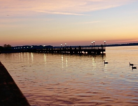 Screen Shot 2025-08-04 at 8.13.56 PM.png