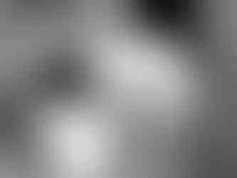 at home newborn session