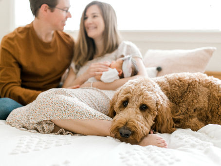 LILLIAN JUNE | NEWBORN