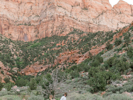 THE HIGGINS | ZION NATIONAL PARK ANNIVERSARY SESSION