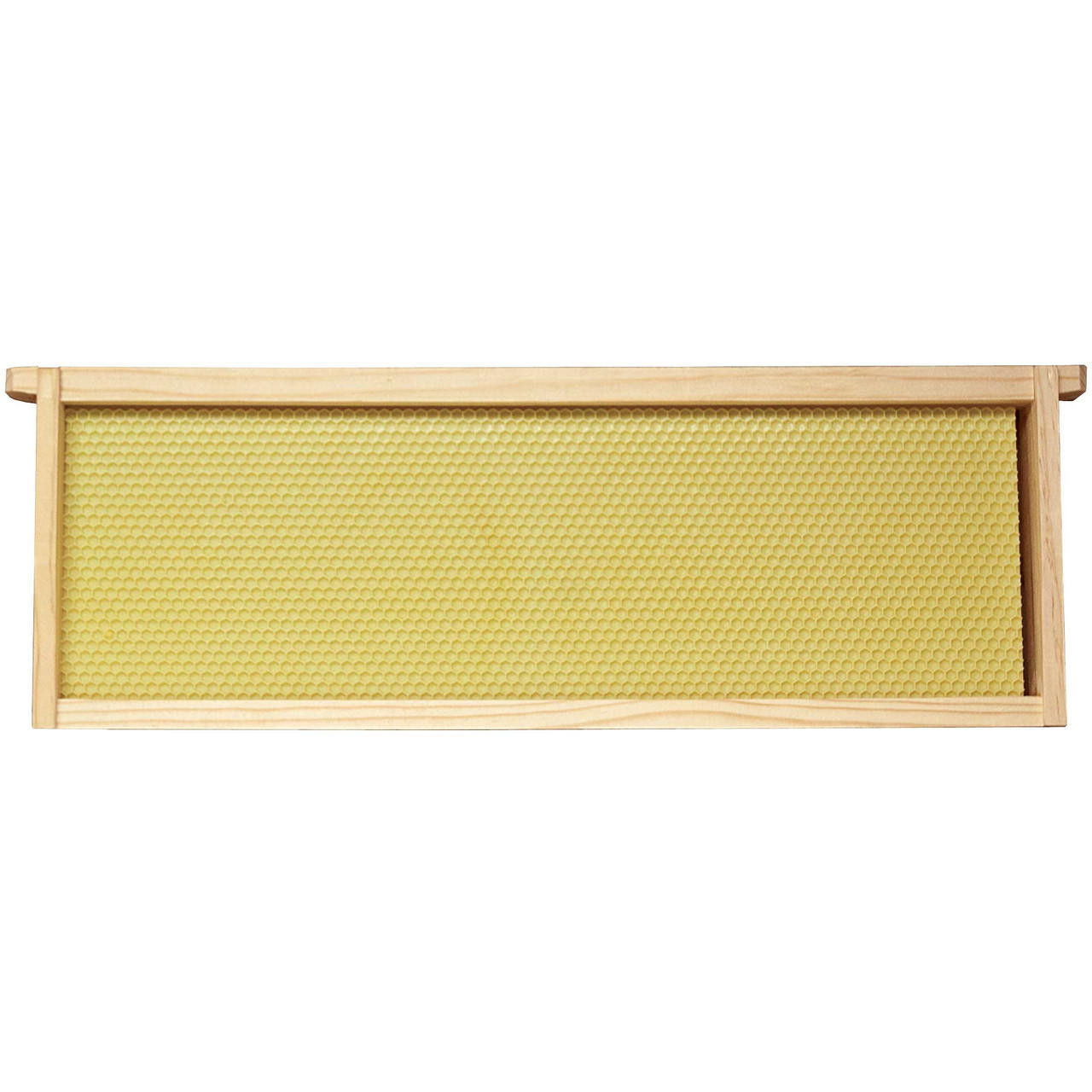 6 1/4" Assembled Frames with Waxed Rite-Cell Foundation, Case of 20