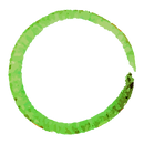 Green Painted Wreath_edited_edited_edite