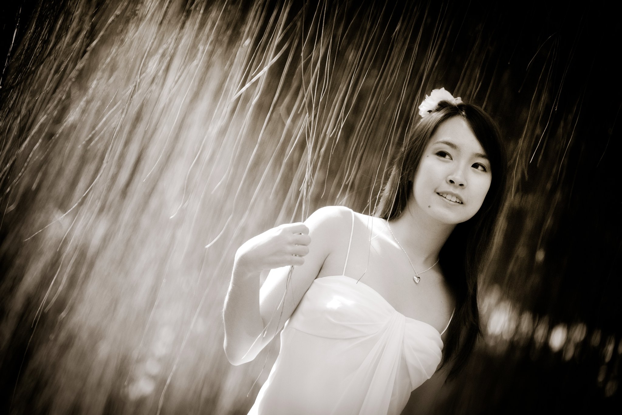 TAMMY ying
