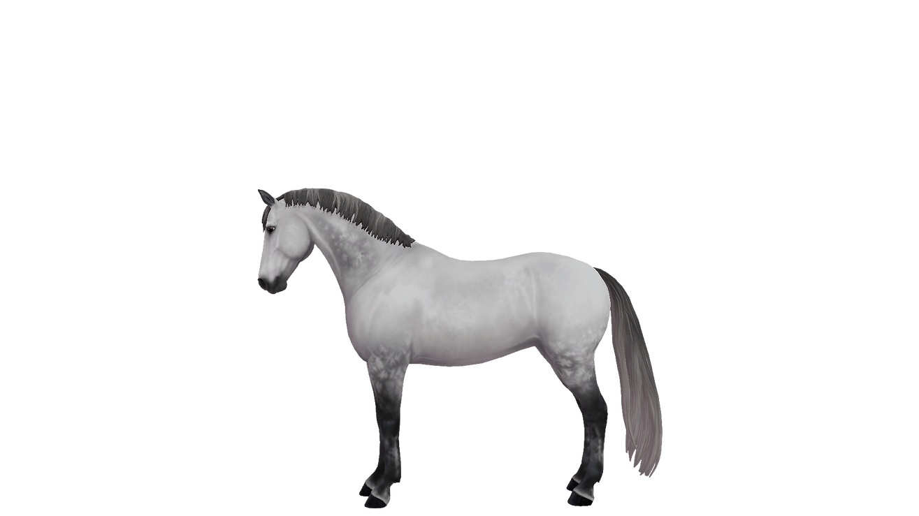 clubhorse