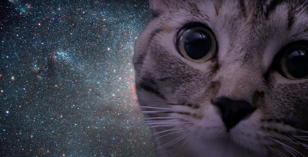 Ground Control to Major Tomcat