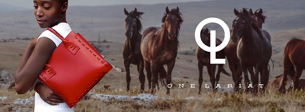 case-study-amber-horses.jpg