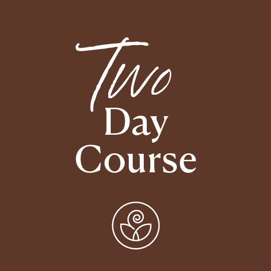 Introduction To Aesthetics Two-Day Workshop