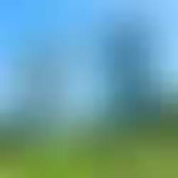 2026 New Year Blog: Public Art as Shared Vision: Reflections and Aspirations for the Year Ahead