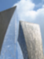 Synergy Closup_8967 RAW.JPG