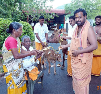 WhatsApp Image 2022-12-06 at 09.51.25.jpg