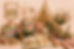 152FDCDF-EA31-4024-8C2A-9841EC433152.PNG