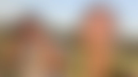 Dossiê 18º For Rainbow: O Cinema e a Construção de Mundos Possíveis